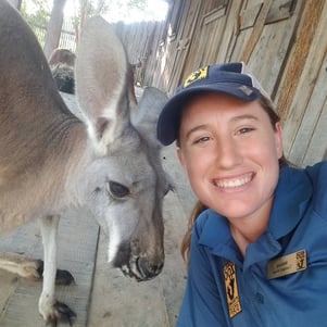 NSS C43 Alumna Mikayla Swinkels in her previous role as a Zookeeper with a kangaroo.