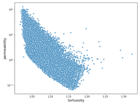 Findings that increased tortuosity decreases permeability.