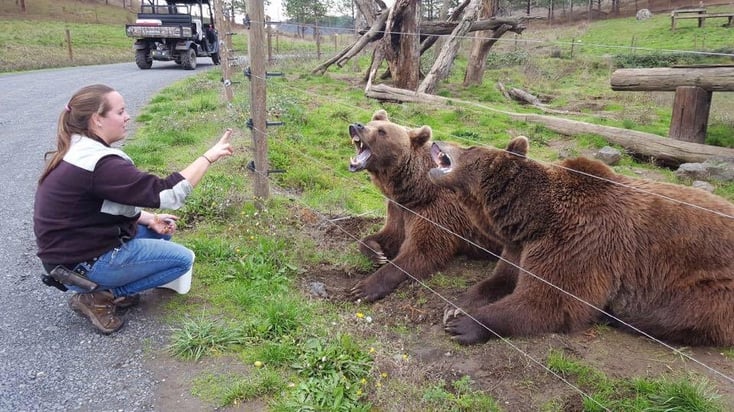 NSS Alumna Melissa Fox in her previous role as a Zookeeper, training bears.